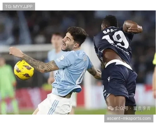 西甲塞尔塔引援