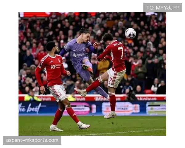 诺丁汉逼抢体系 诺丁汉逼抢体系