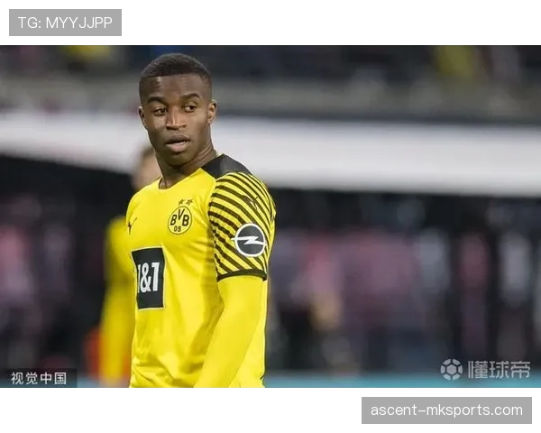 维尔茨伤病频率剖析：是否为玻璃体质的关键因素